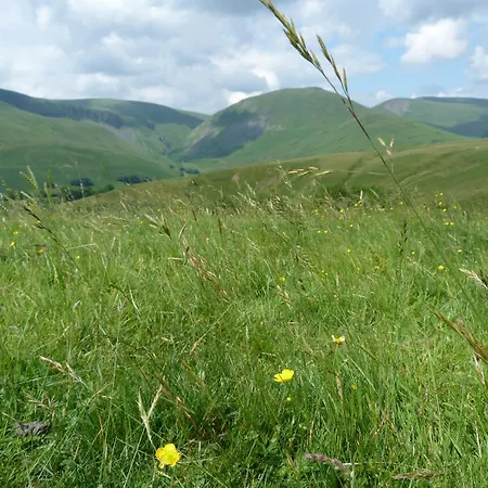 Bramble Sedbergh